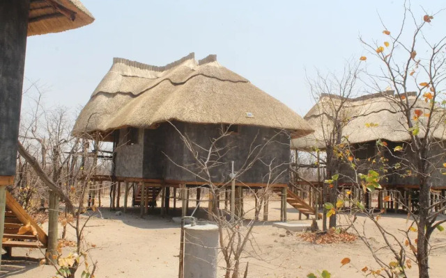 Dzibanana Lodge & Camping