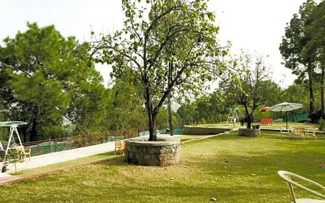 kasauli nature inn
