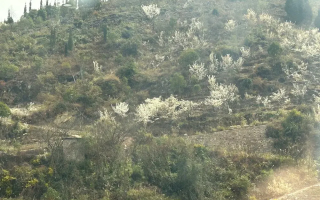 Tianjiao Holiday Hotel