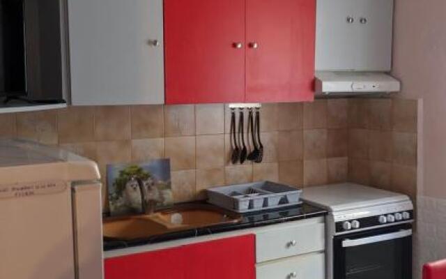 Nikol & Stella's House