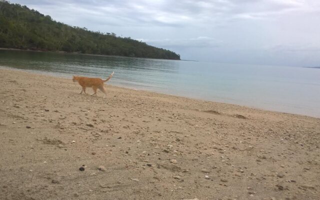 Dolphin Bay Divers Retreat