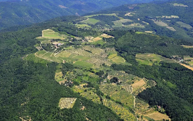 Cozy Farmhouse With Campriano With Swimming Pool