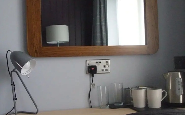 The Swan on the River