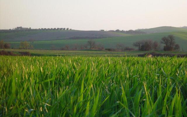 Agriturismo Poggio alle Calle