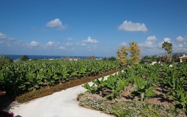 Banana Cyprus Villas