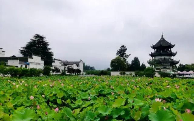 Xiaoqiao Homestay