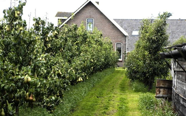 Lovely Cottage near Sea in Wemeldinge