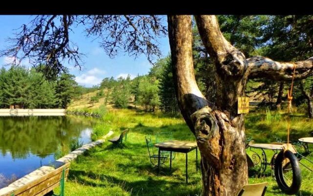 Yayla Mocamp