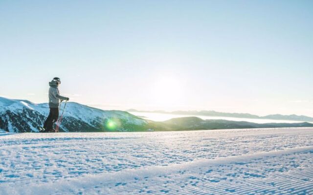 Chalet Zirbenwald I/8P