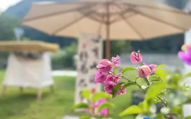 Huangshan Mountain Banshan Chenshe Homestay