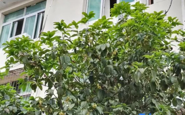 Ningbo Ivory Guest Youth Hostel
