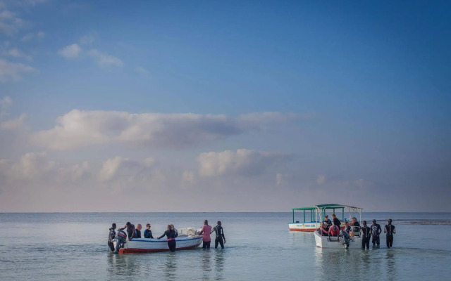 Turtle Bay Beach Club