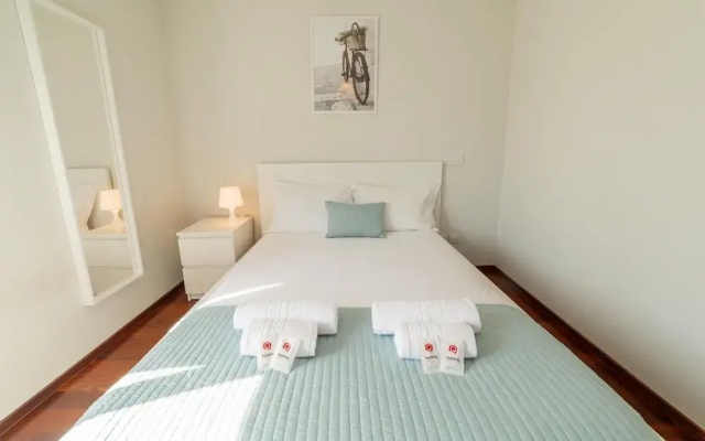 Modern Cedofeita by Homing