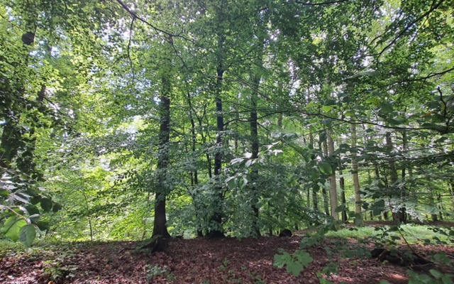 T 'n D house/ Terrasses de Malmedy