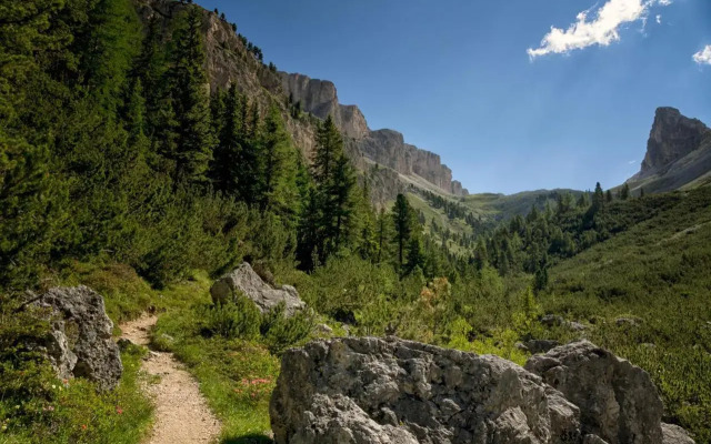 Apartments Villa Center Pic