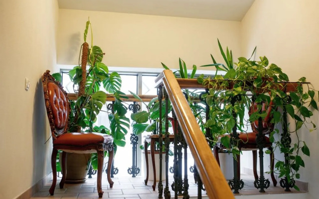 Friedricho Guesthouse