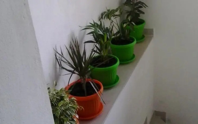 Summer SZ Guest House