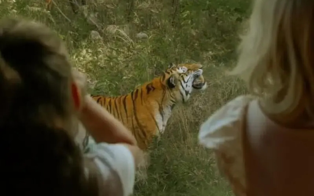 Knuthenborg Safaripark