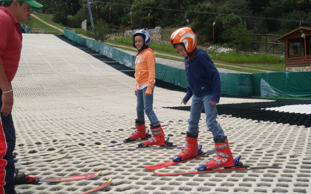 Bosques De Monterreal