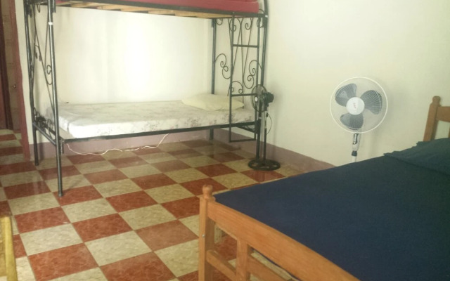 The Sleeping Dog Hostel