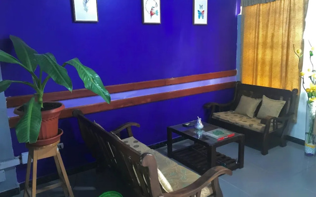 Amazon Dream Hostel