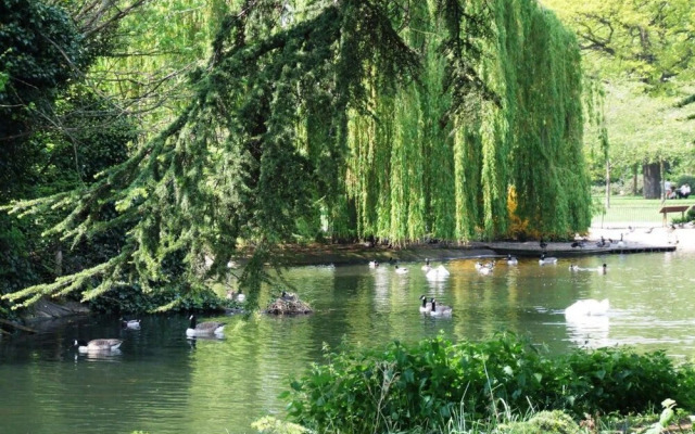 Spacious 3 Bedroom Apartment in Hammersmith