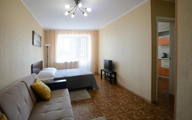 Good Night Елизаровых 56