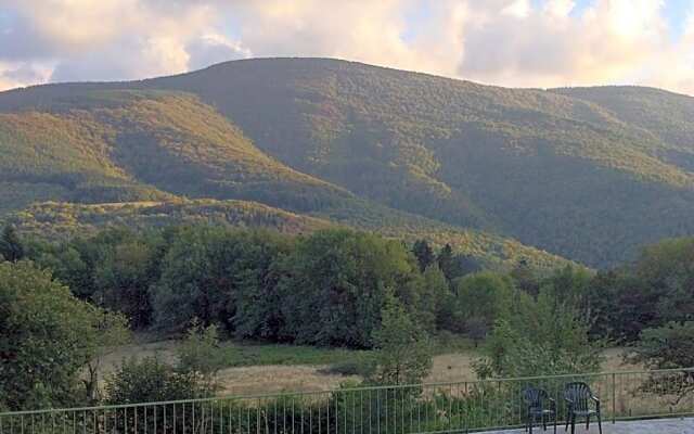 B&B Bouton D'Or La Bouriotte