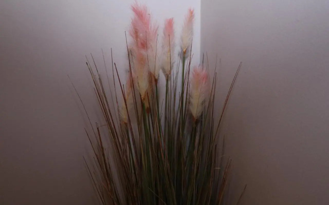 The Lavenders