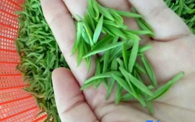 Wushi Jiayuan Farmhouse