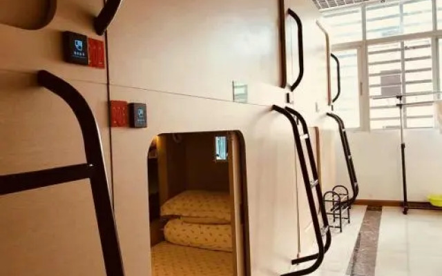 The Olive Tree Capsule Hostel
