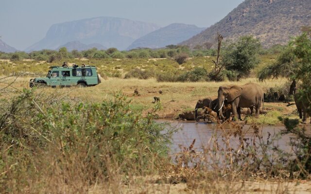 Samburu Serena Safari Lodge