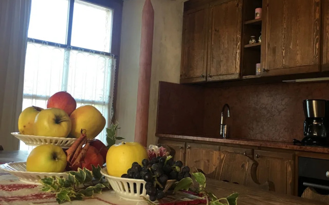 Agriturismo Alpenvidehof