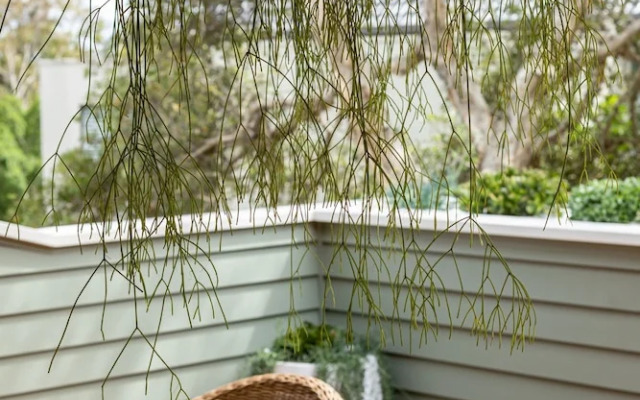 Sunbird Suite by Stay Noosa