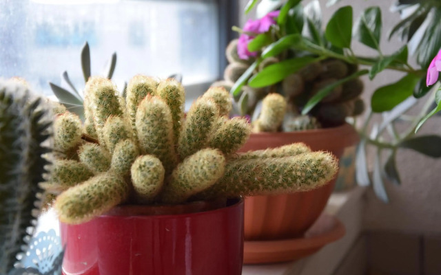 Luxurious Apartment Majda, 2 bathrooms and free parking