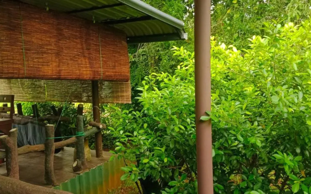 The Green Weligama