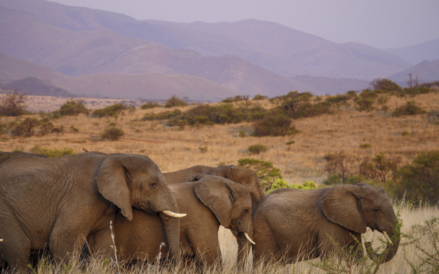 Nkomazi Game Reserve by NEWMARK