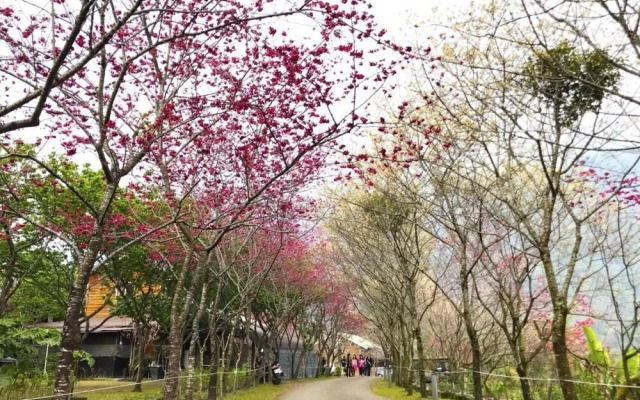 Umas Hostel