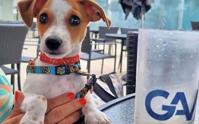 Apto Salinas Exclusive Resort, 2 quartos