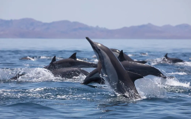 Casa 1880 - Adults Only