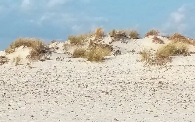 Sardinian Villa Enjoy Stintino With Your Pets !