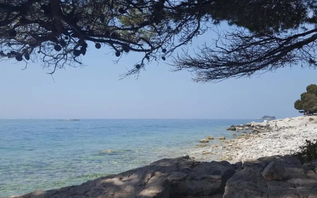 Studio Apartment Rosemary