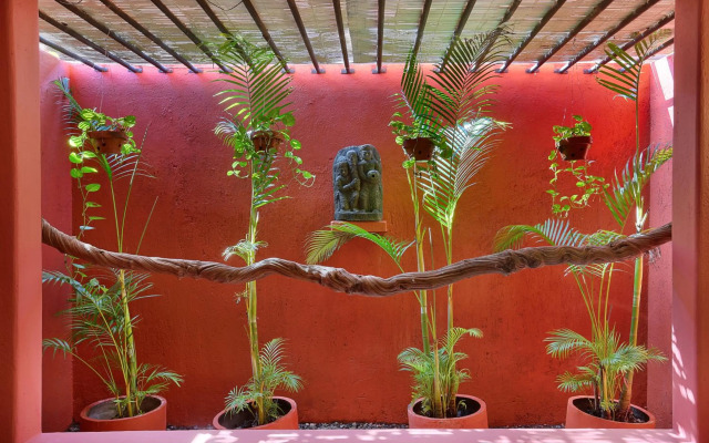 PinkCoco Uluwatu - Constant Surprises & for Cool Adults Only