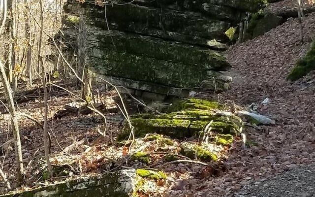 The Country Inn of Eureka Springs