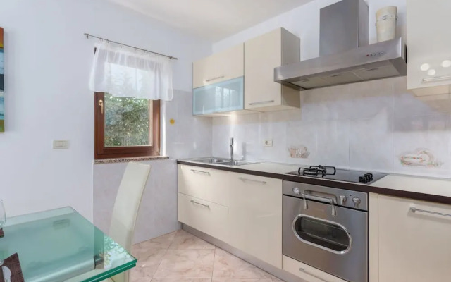 Holiday House in Novigrad With Pool