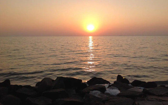 Cherai Onetree Retreat