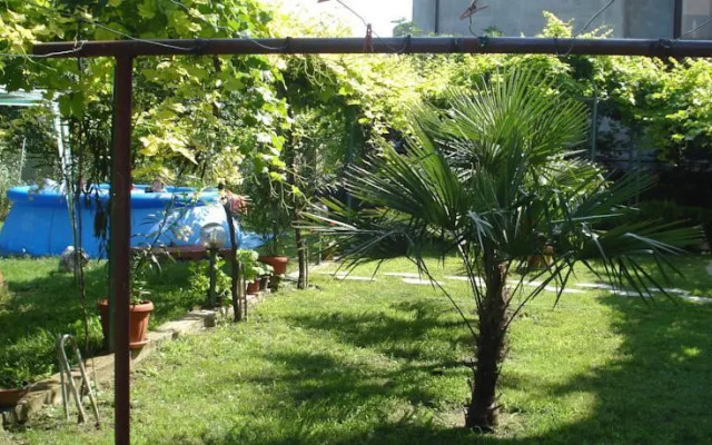 Georgiev Guest House