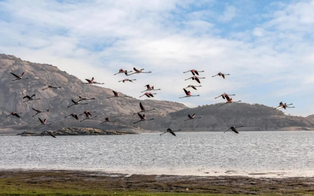 Lords Eco Inn Jawai-Sumerpur