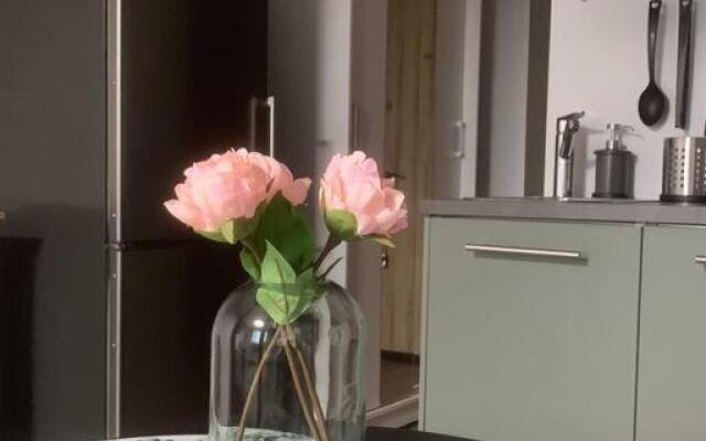 Apartment near Ozas