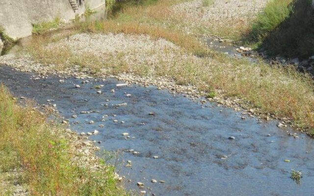 La Lanterna Delle Fate - Nel Paese di Alice